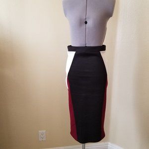 Pencil Skirt